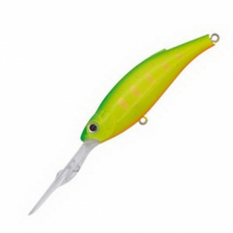 good_id7117 (11).jpg